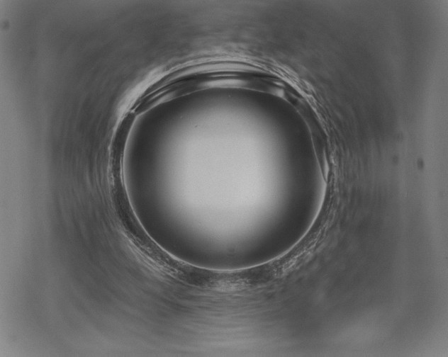 X0000068810248200605051152