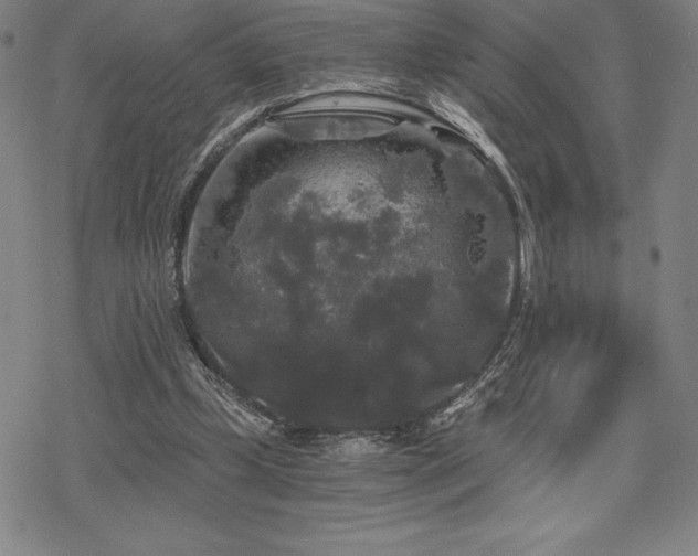 X0000068810249200605051152