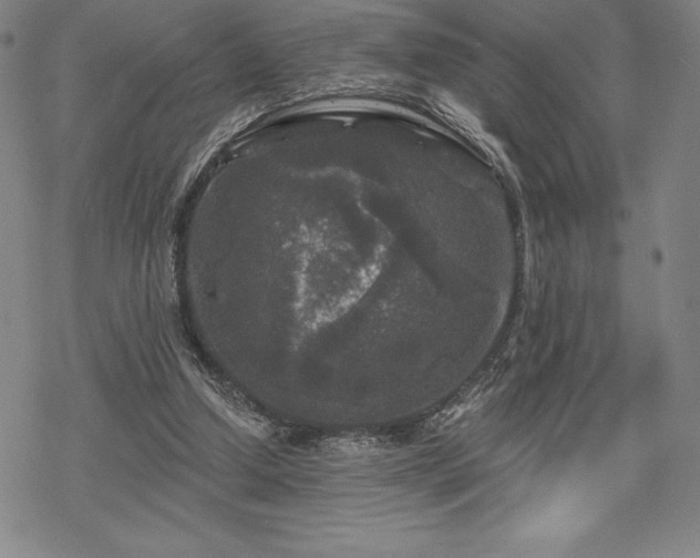 X0000068810250200605051152