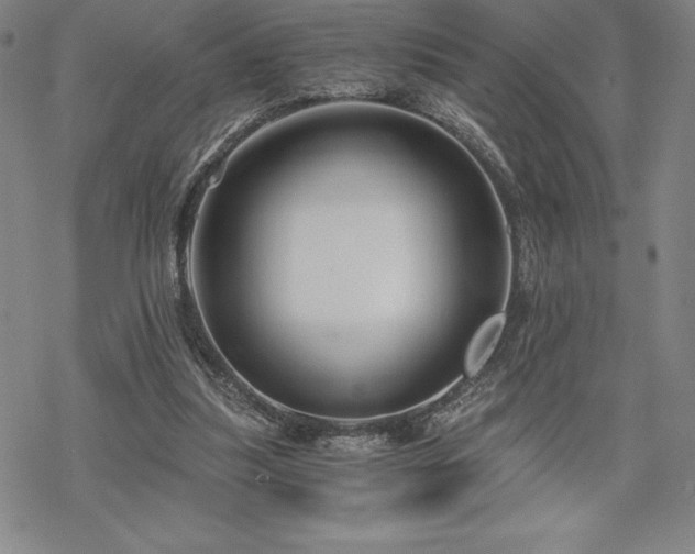 X0000068810251200605051152