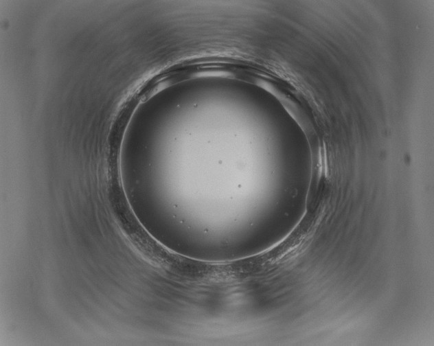 X0000068810252200605051152