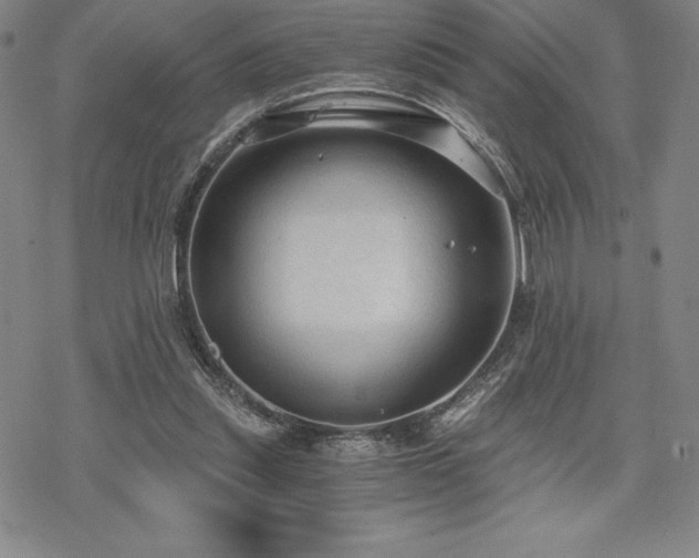 X0000068810253200605051152