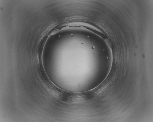 X0000068810254200605051152