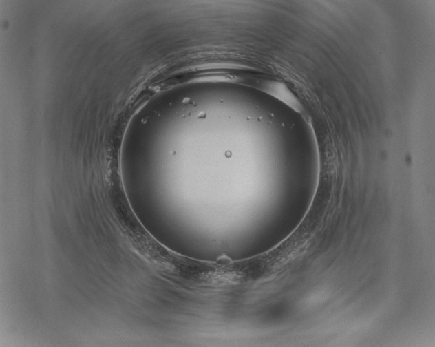 X0000068810255200605051152