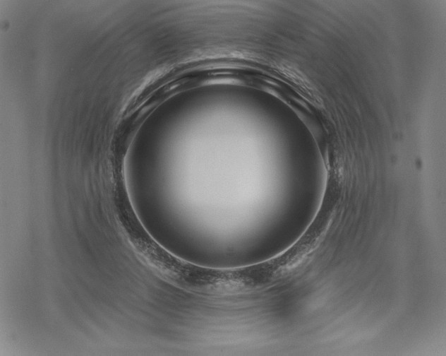 X0000068810256200605051152