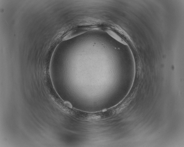 X0000068810257200605051152