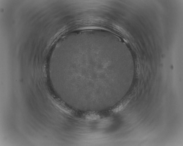 X0000068810258200605051152