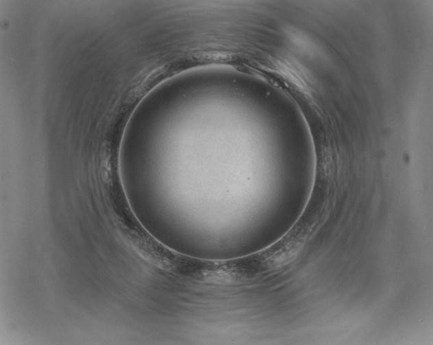 X0000068810259200605051152