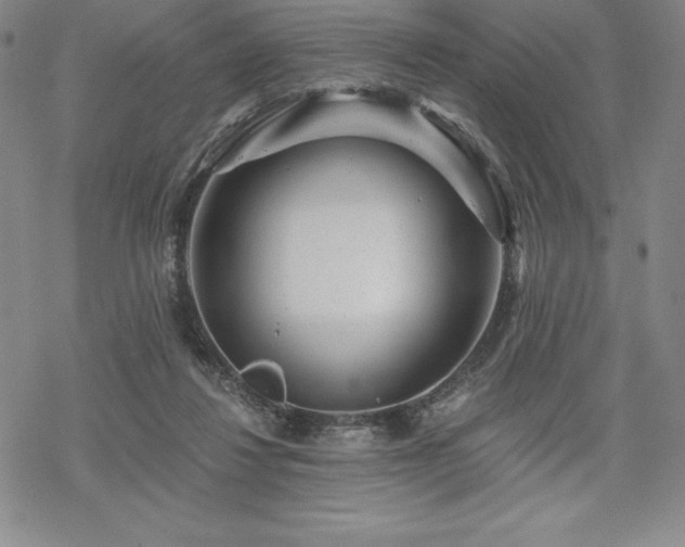 X0000068810260200605051152