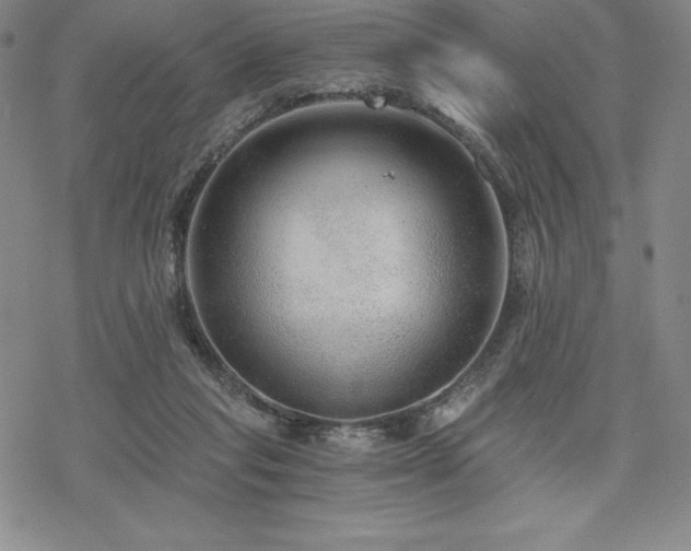 X0000068810261200605051152