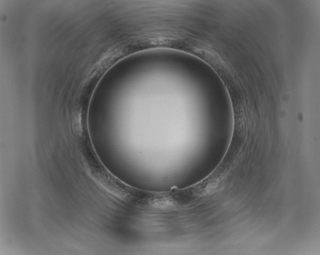 X0000068810262200605051152