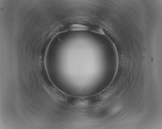 X0000068810263200605051152