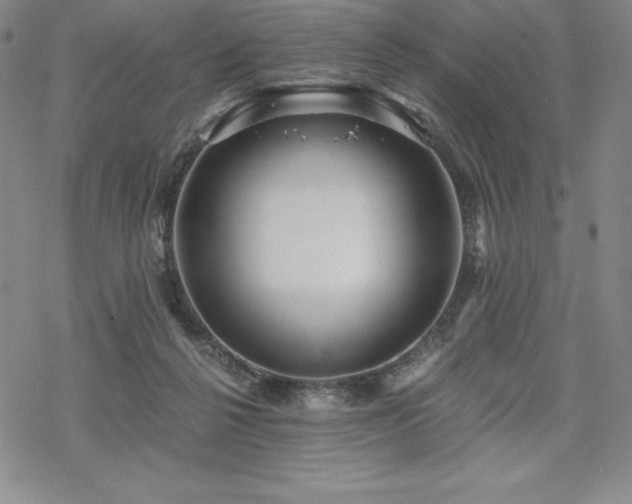 X0000068810264200605051152