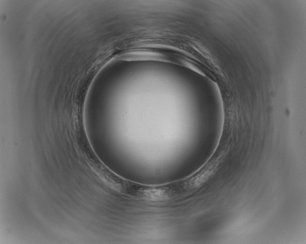 X0000068810265200605051152