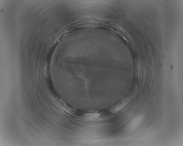 X0000068810266200605051152