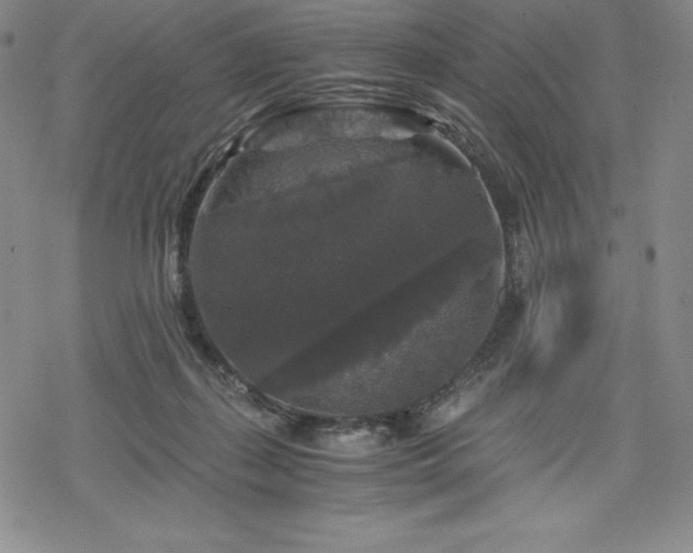 X0000068810267200605051152