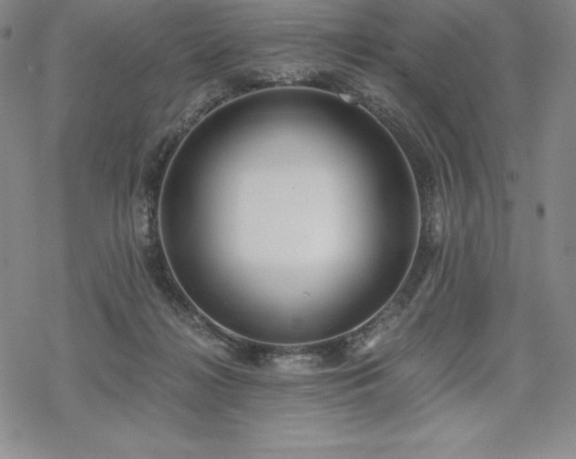 X0000068810268200605051152