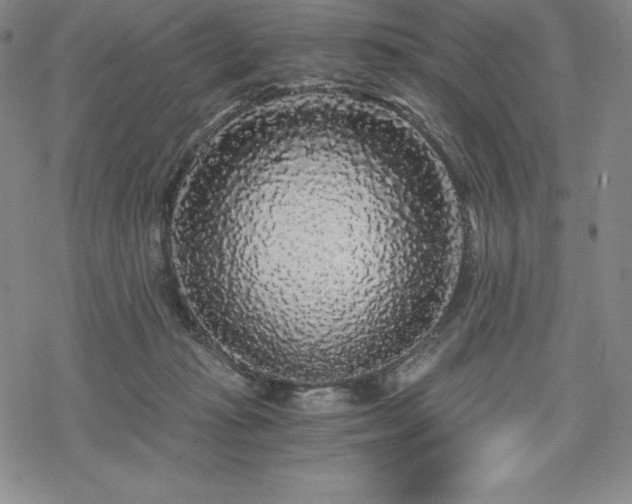 X0000068810269200605051152