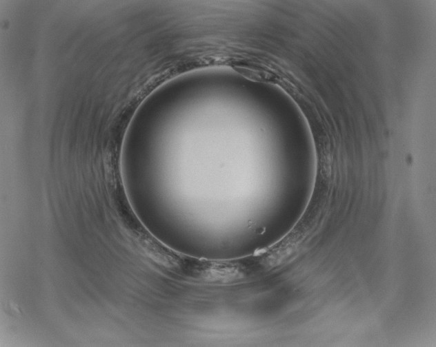 X0000068810270200605051152