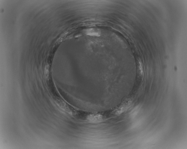 X0000068810271200605051152