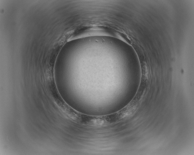 X0000068810272200605051152