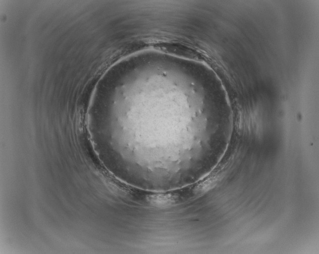 X0000068810273200605051152