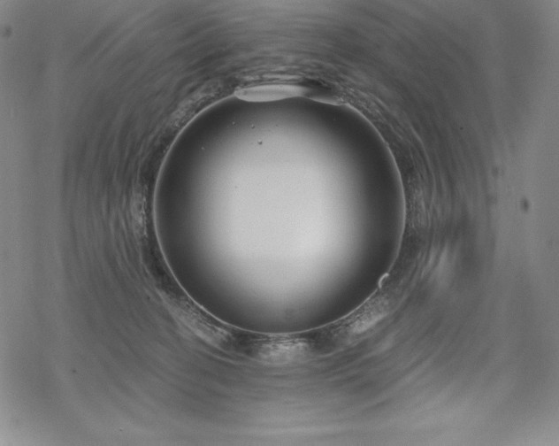 X0000068810274200605051152