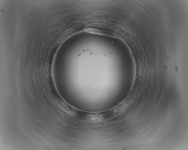 X0000068810275200605051153