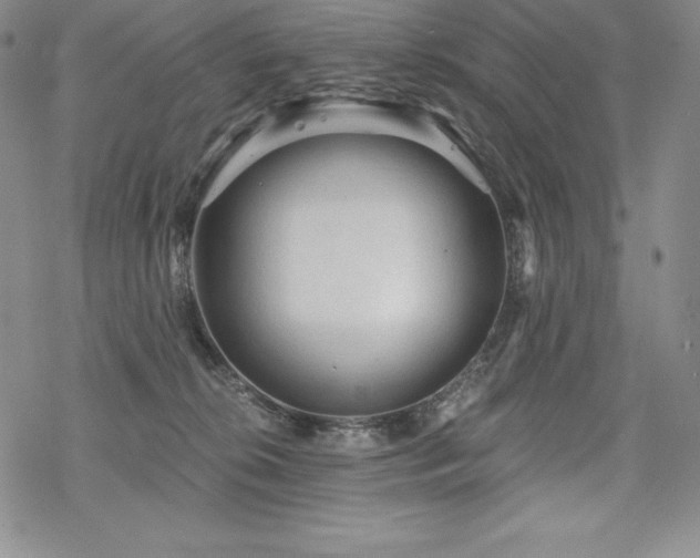 X0000068810276200605051153