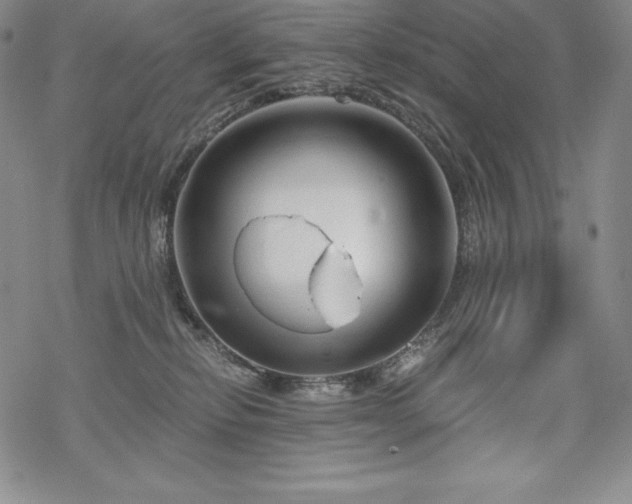 X0000068810278200605051153