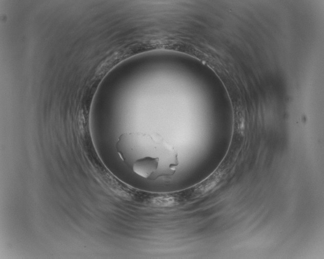 X0000068810279200605051153