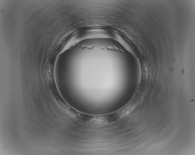 X0000068810280200605051153