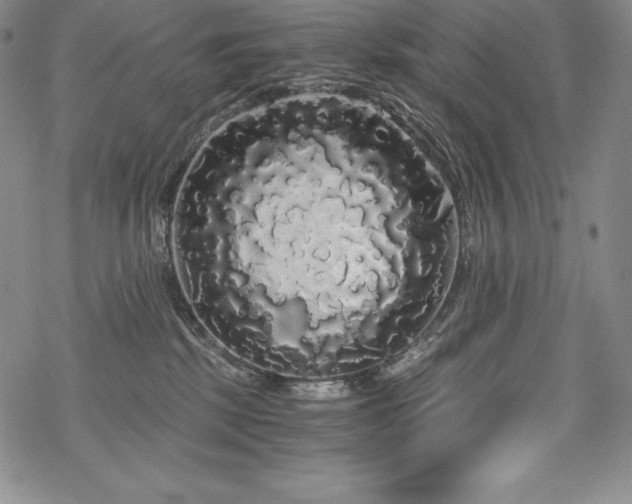 X0000068810281200605051153