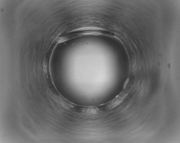 X0000068810282200605051153