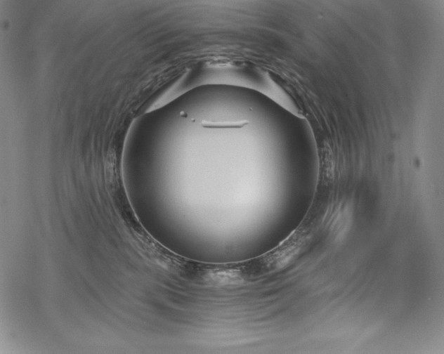 X0000068810283200605051153