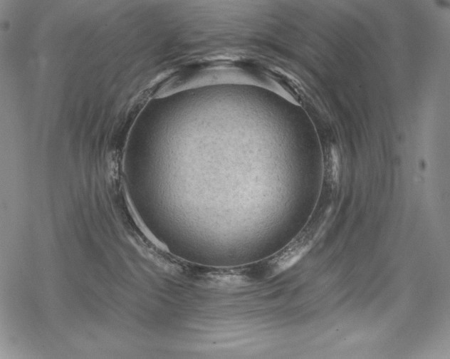 X0000068810284200605051153