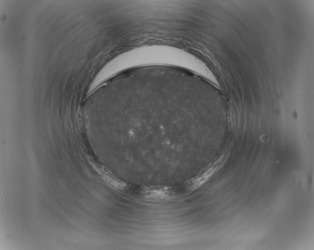 X0000068810285200605051153