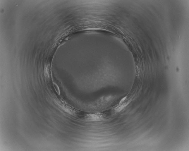 X0000068810286200605051153