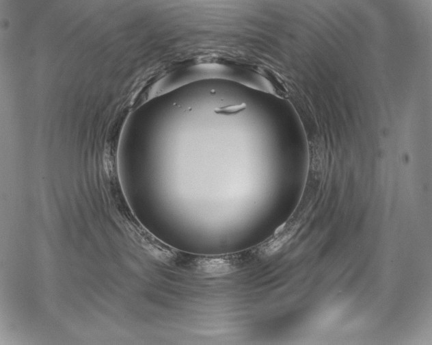 X0000068810287200605051153