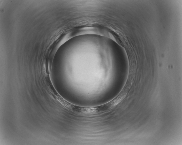 X0000068810288200605051153