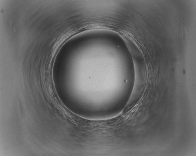 X0000068810289200605051152