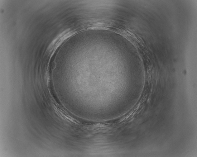 X0000068810290200605051152