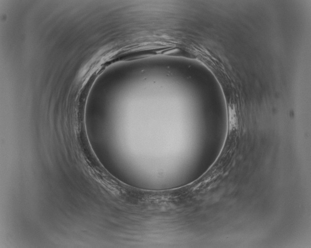 X0000068810291200605051152