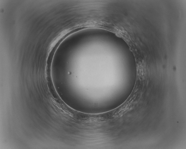 X0000068810292200605051152