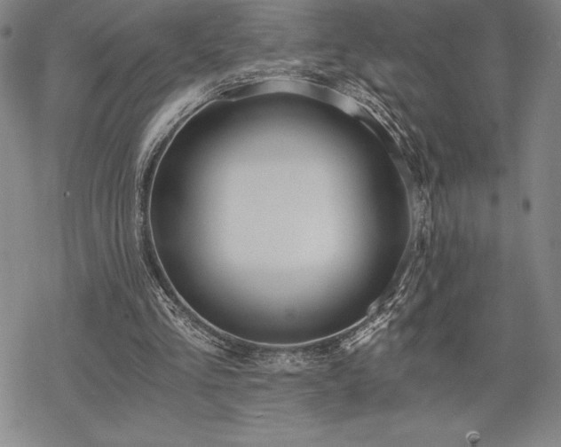 X0000068810293200605051152