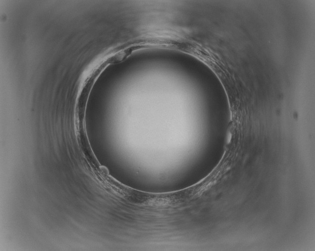 X0000068810294200605051152