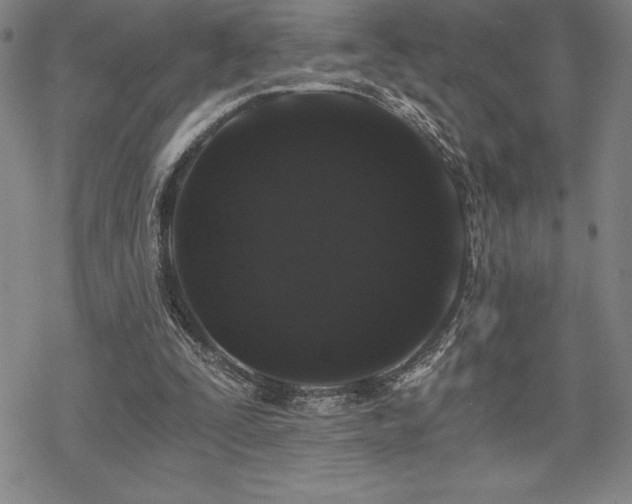 X0000068810295200605051152