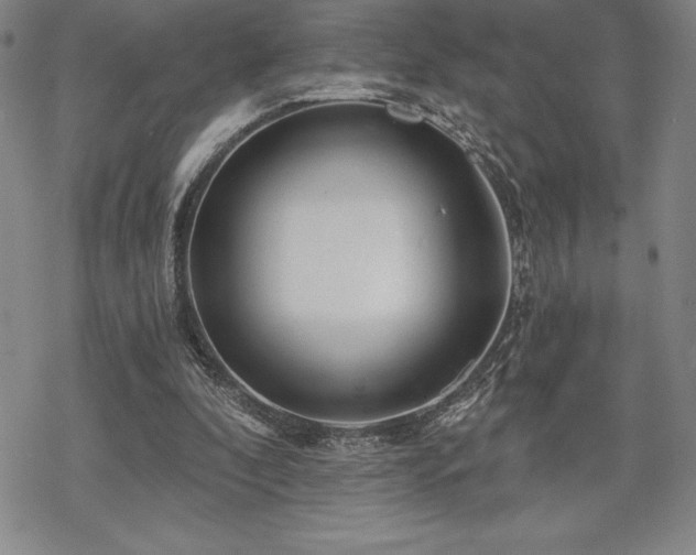 X0000068810296200605051152