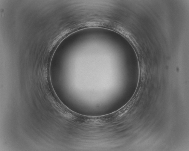 X0000068810297200605051152