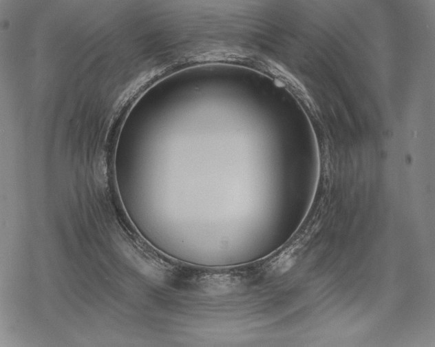 X0000068810298200605051152